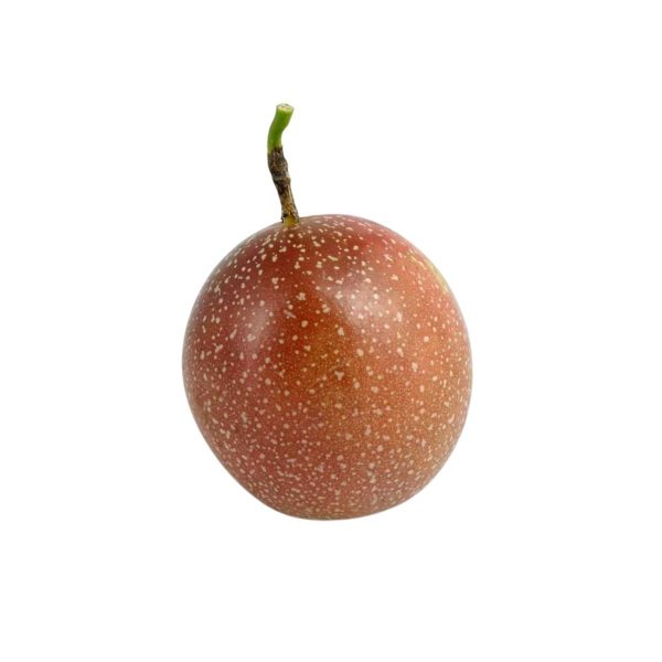 Passion Fruit No.3 (2 Dozen / 24 Counts) - Image 2