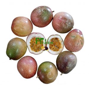 Passion Fruit No.3 (2 Dozen / 24 Counts)