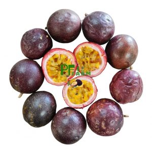 Passion Fruit No.1 (2 Dozen / 24 Counts)